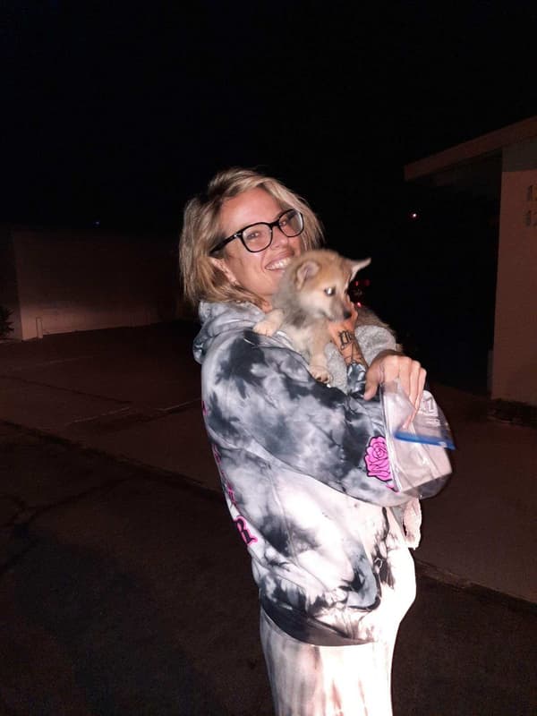 Customer photo of Pomsky puppy from Jamie V.