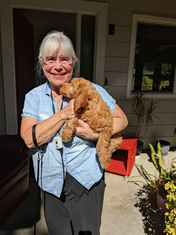 Customer photo of Goldendoodle puppy from Lin R.