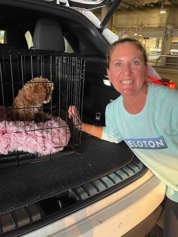 Customer photo of Cavapoo puppy from Lindsay K.