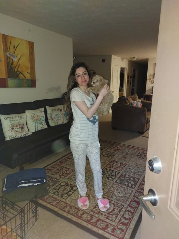 Customer photo of Poodle, Toy puppy from Rand H.
