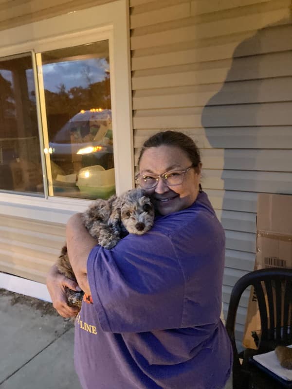 Customer photo of Poodle, Miniature puppy from Anita P.