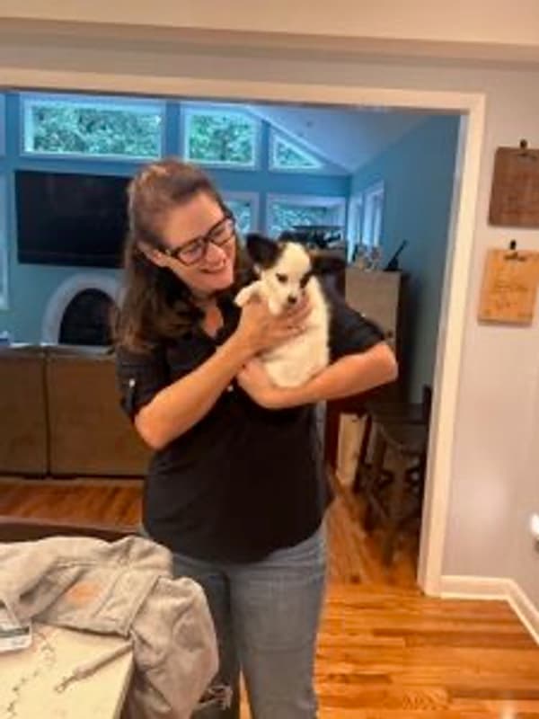 Customer photo of Papillon puppy from Cheryl C.