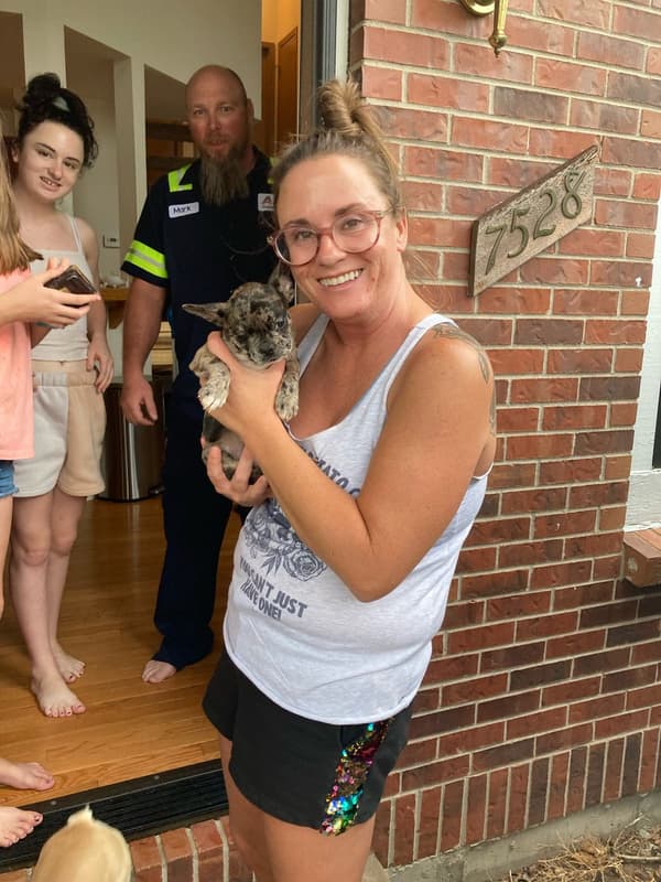 Customer photo of Frenchton puppy from April S.