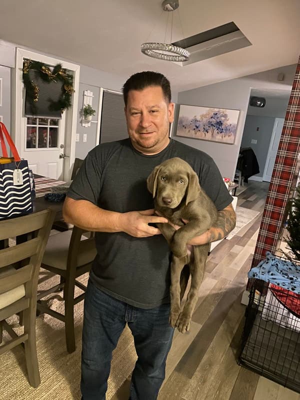 Customer photo of Labrador Retriever puppy from Christopher K.