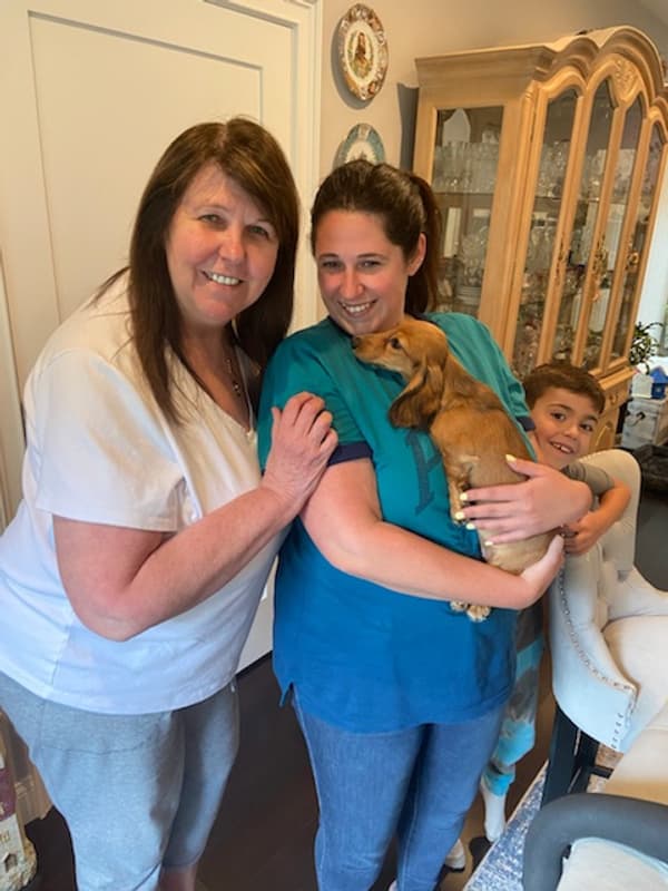 Customer photo of Dachshund, Mini puppy from Melissa S.