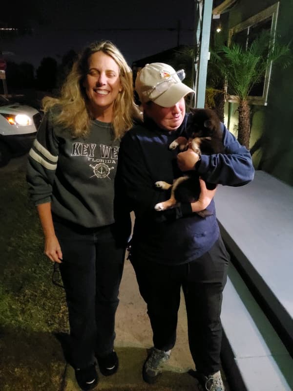 Customer photo of Shiba Inu puppy from Tammy H.