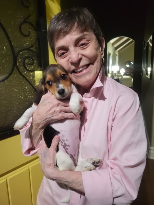 Customer photo of Beagle puppy from Sherry H.