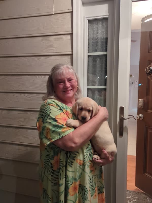 Customer photo of Labrador Retriever puppy from Barbara H.