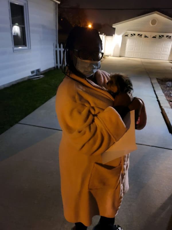 Customer photo of Morkie / Yorktese puppy from Dewan S.