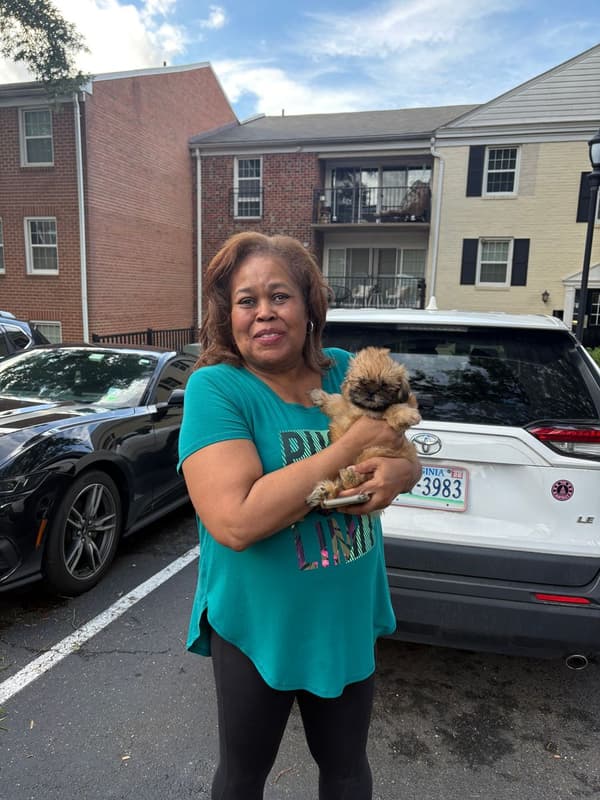 Customer photo of Shih Tzu puppy from Janice H.
