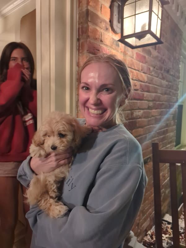 Customer photo of Malti Poo - Maltipoo puppy from Angie S.
