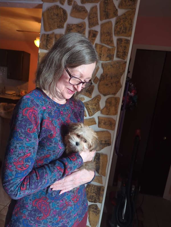 Customer photo of Morkie / Yorktese puppy from Suzanne K.