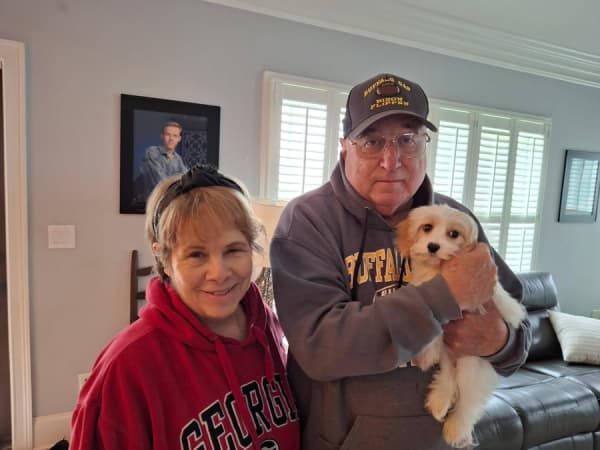 Customer photo of Cavachon puppy from Anne F.