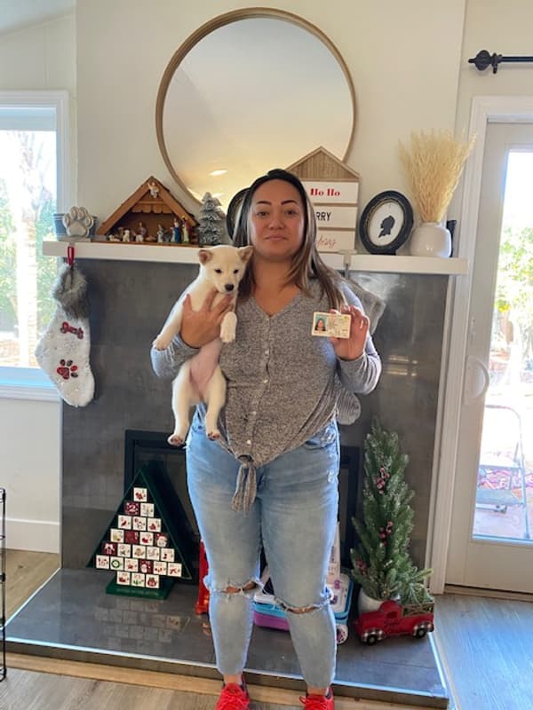 Customer photo of Shiba Inu puppy from Dawn W.