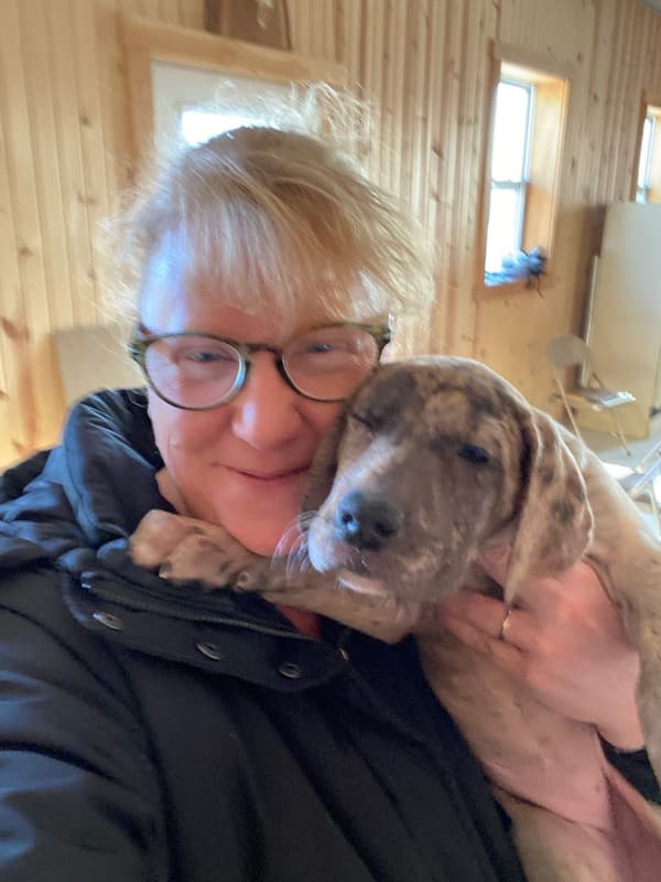 Customer photo of Great Dane puppy from Jody D.