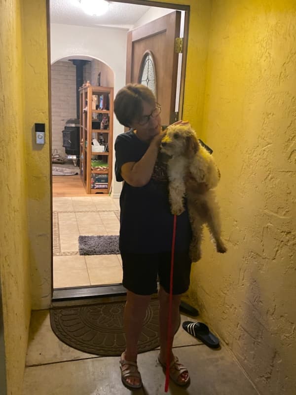 Customer photo of Goldendoodle, Mini puppy from Jeanne A.