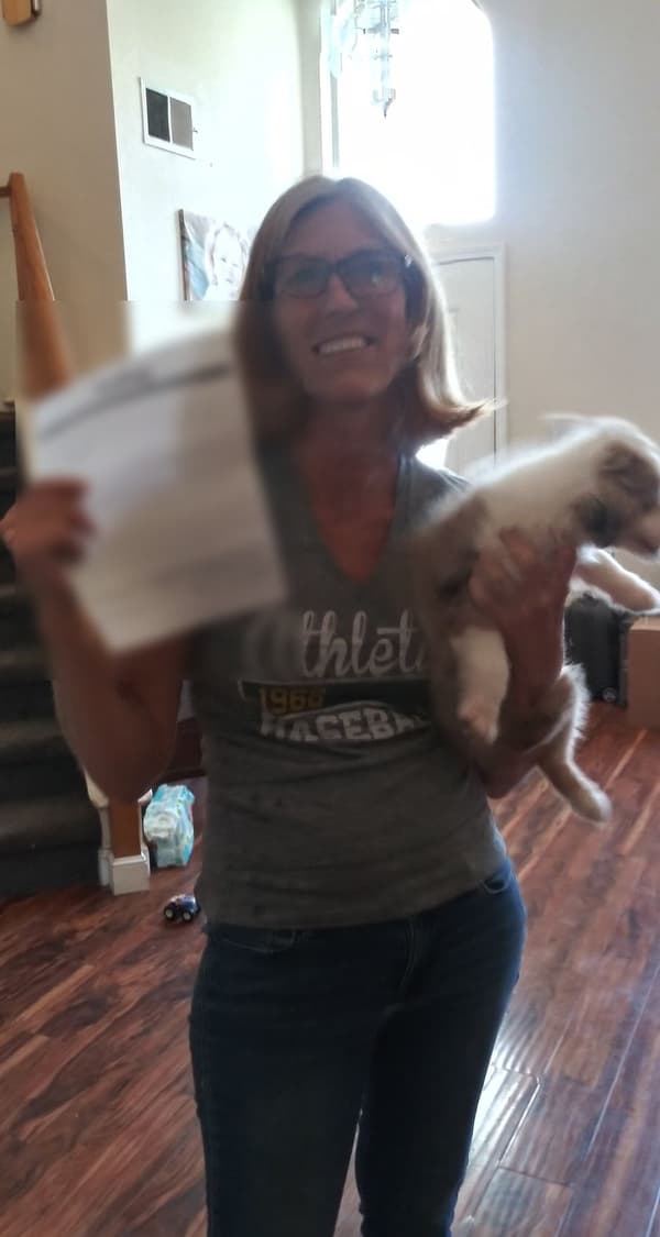 Customer photo of Miniature Australian Shepherd puppy from Heidi O.