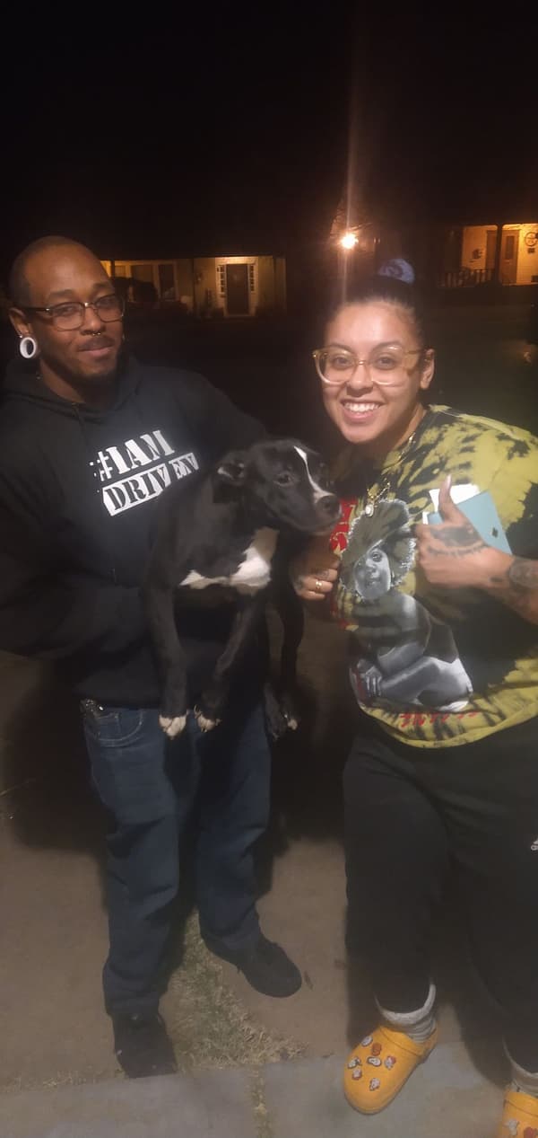 Customer photo of American Bully puppy from Maria A.