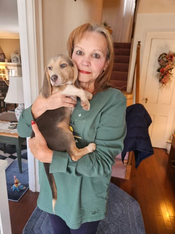 Customer photo of Beagle puppy from Patricia B.