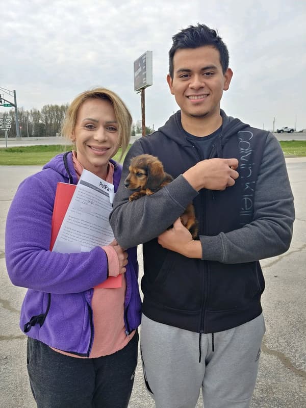 Customer photo of Dachshund, Mini puppy from Sydney S.