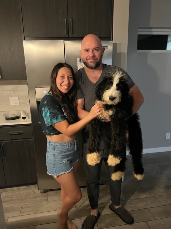 Customer photo of Bernedoodle puppy from Karen R.