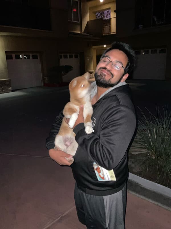 Customer photo of Shiba Inu puppy from James P.