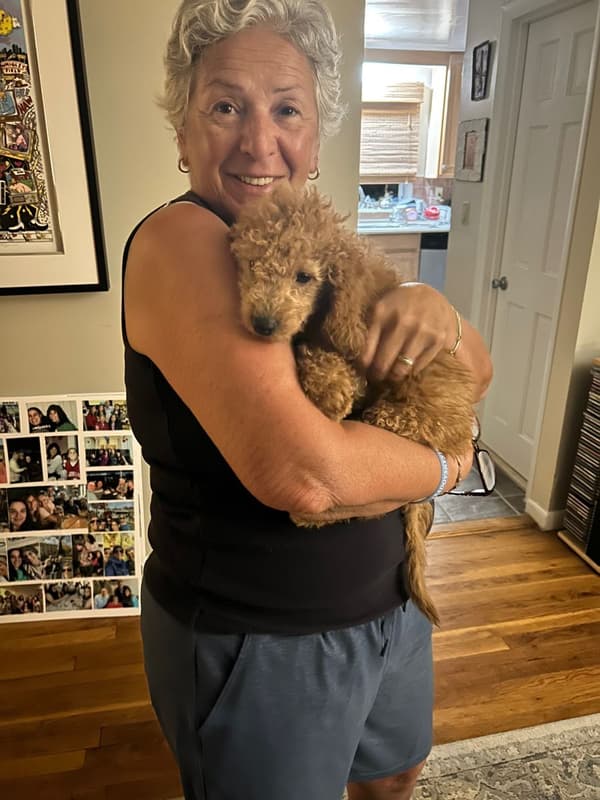 Customer photo of Goldendoodle, Mini puppy from Phillis M.