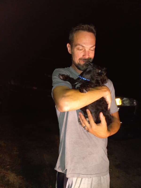 Customer photo of Schnauzer, Miniature puppy from Lauren C.