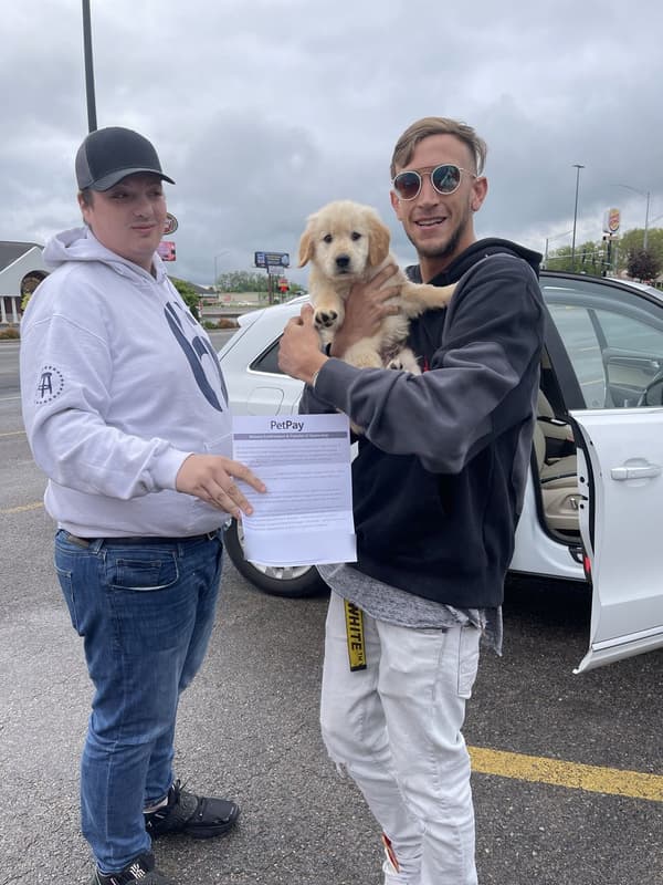 Customer photo of Golden Retriever puppy from Henry G.