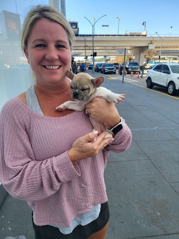 Customer photo of French Bulldog puppy from Shellie P.