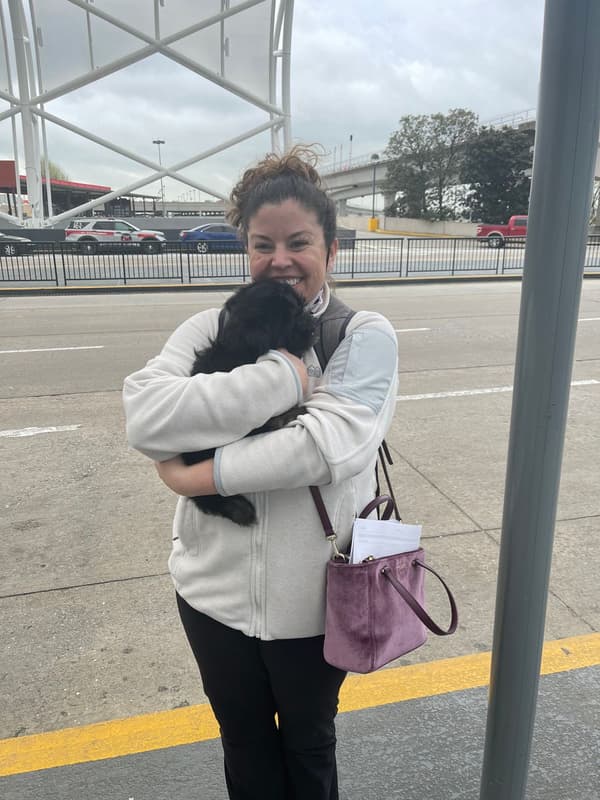 Customer photo of Morkie / Yorktese puppy from Colleen C.