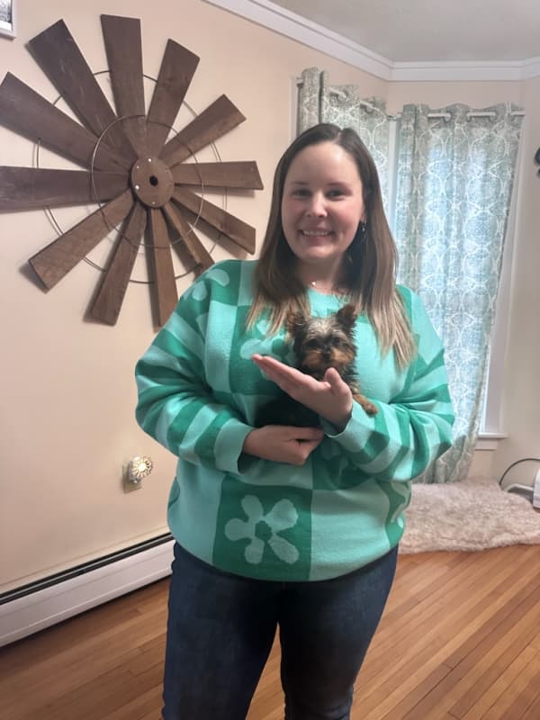 Customer photo of Yorkshire Terrier - Yorkie puppy from Becca H.
