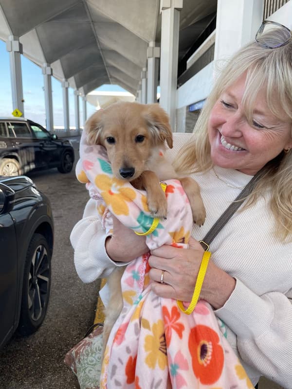 Customer photo of Goldendoodle, Mini puppy from Jacqueline L.