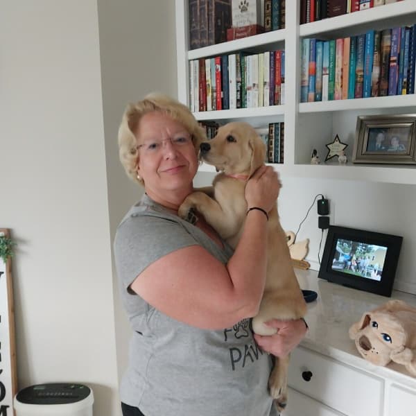 Customer photo of Labrador Retriever puppy from Mary C.