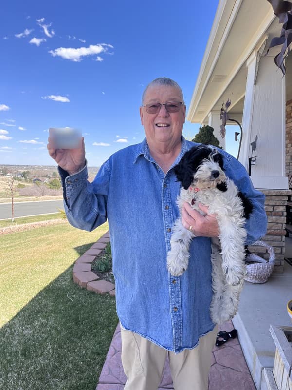 Customer photo of Springerdoodle puppy from David K.