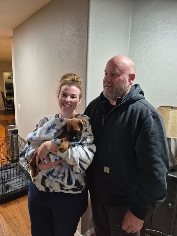 Customer photo of Boxer puppy from John V.