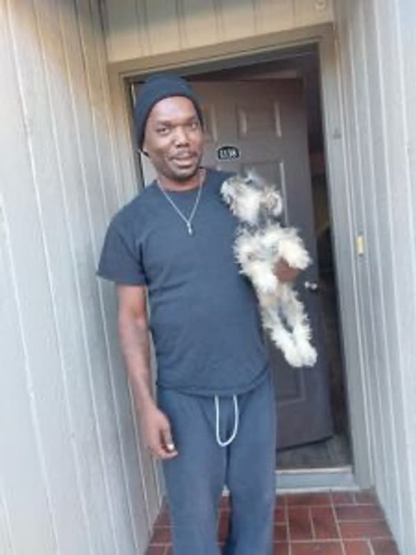 Customer photo of Schnauzer, Miniature puppy from Shannen S. 