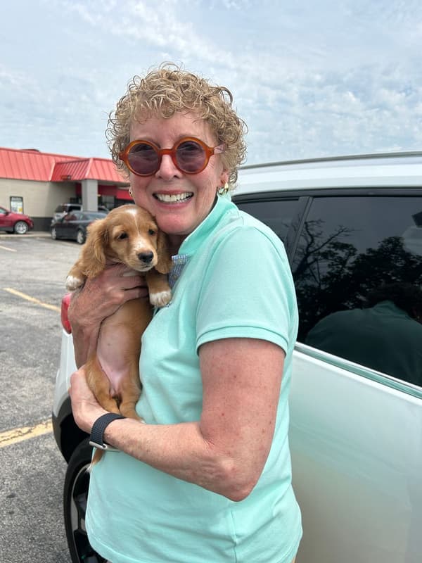 Customer photo of Dachshund, Mini puppy from Diana D.