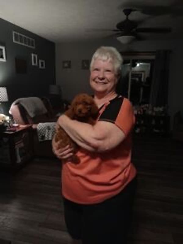 Customer photo of Poodle, Miniature puppy from Donna B.