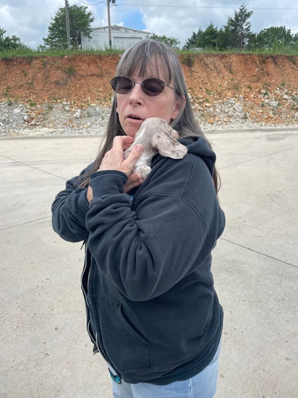 Customer photo of Dachshund, Mini puppy from Darlene G.