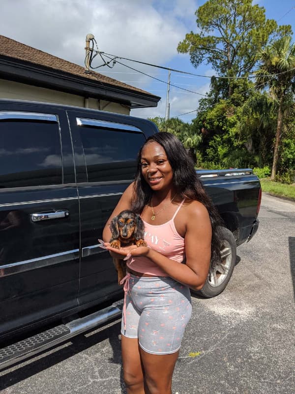 Customer photo of Dachshund, Mini puppy from Crystal W.