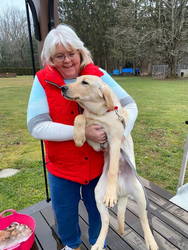 Customer photo of Labrador Retriever puppy from Judy M.
