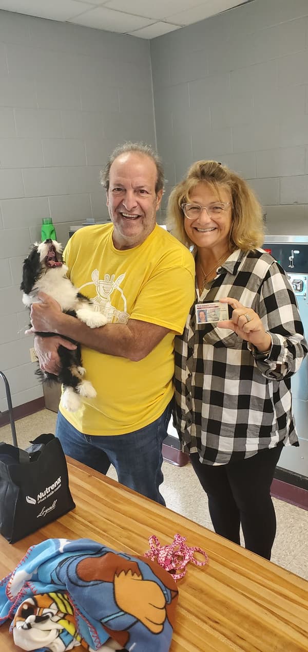 Customer photo of Bernedoodle puppy from Joan F.