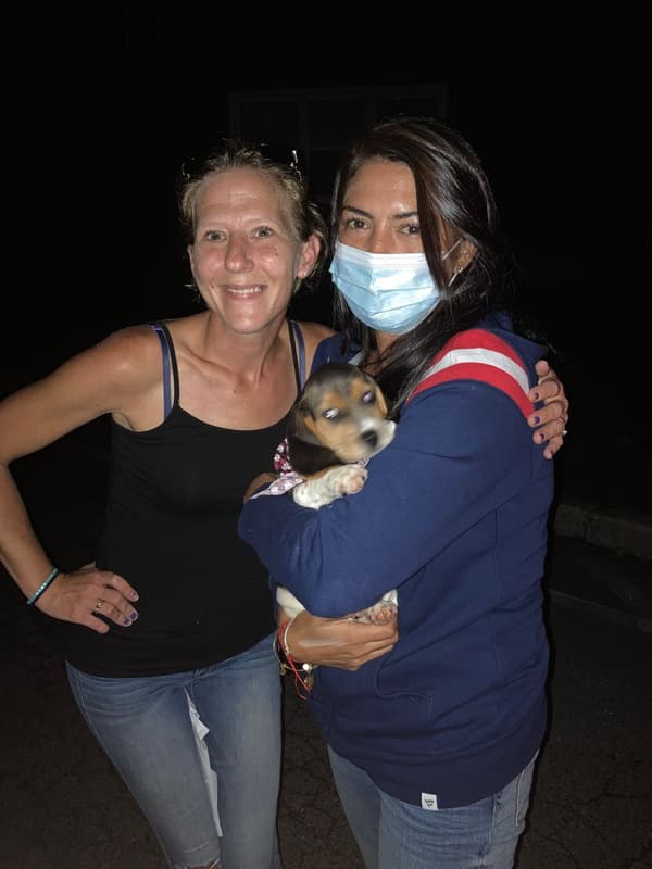 Customer photo of Beagle puppy from Heather F.