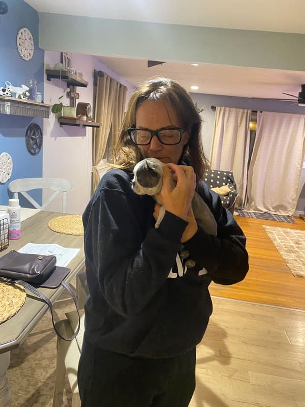 Customer photo of Boston Terrier puppy from Elayna C.