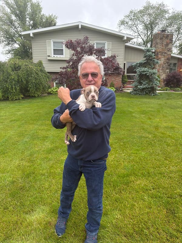 Customer photo of Boston Terrier puppy from Richard C.