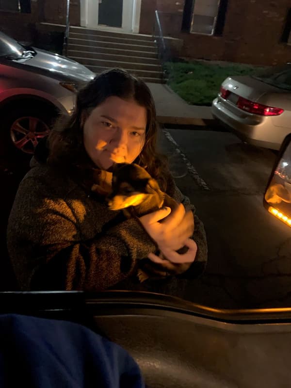 Customer photo of Corgipoo puppy from Nancy E.