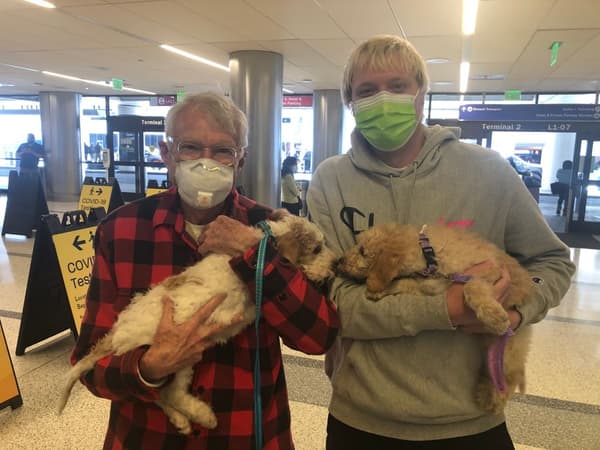 Customer photo of Labradoodle puppy from Zach E.