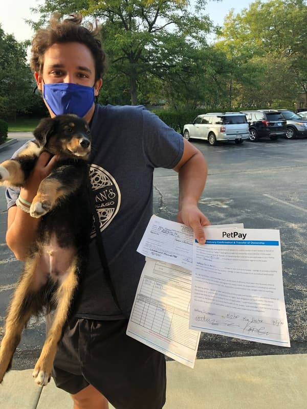 Customer photo of Australian Shepherd puppy from Anthony S.