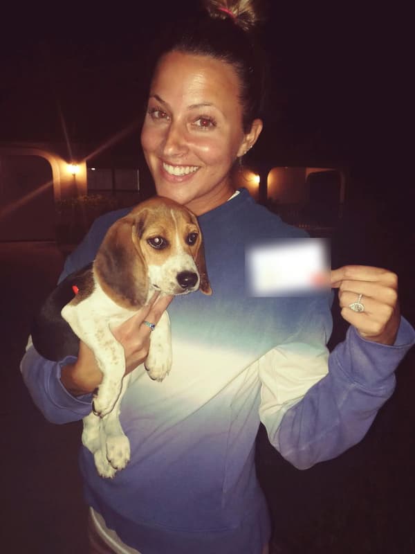 Customer photo of Beagle puppy from Stephanie P.